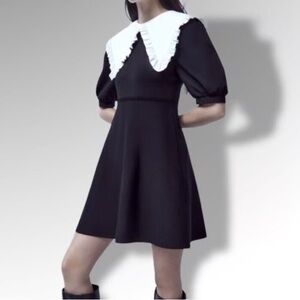 Zara Black Mini Dress with White Ruffled Peter Pan Collar